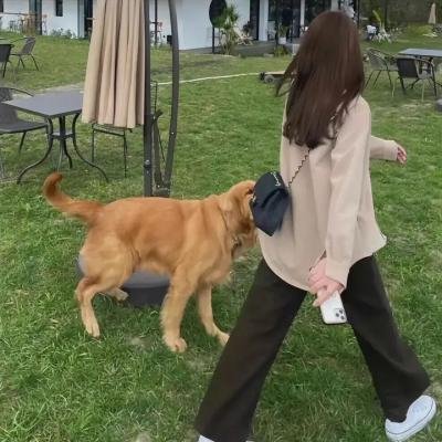 芒洛医生 第二季